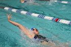 Swim vs Bentley  Wheaton College Swimming & Diving vs Bentley University. - Photo by Keith Nordstrom : Wheaton, Swimming & Diving